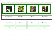 Setzleiste-Frühlingsblüten.pdf